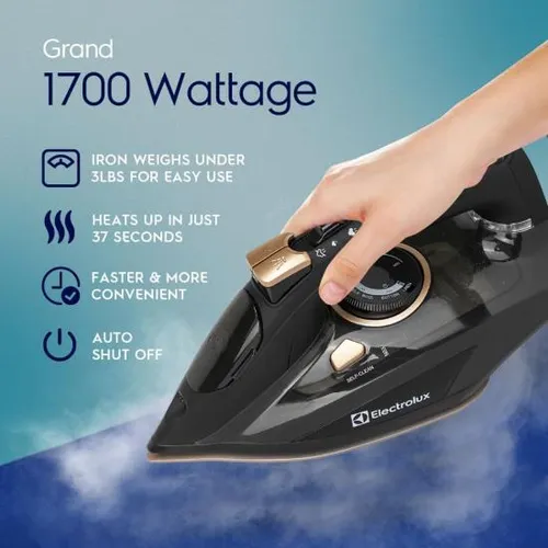 Plancha De Vapor Profesional Electrolux Para Ropa, Potente
