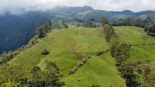 Vendo Permuto Finca Líbano Tolima