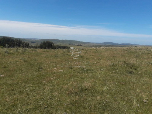 Imagen 14 de 16 de Campo En Carape - Departamento De Maldonado - Carape
