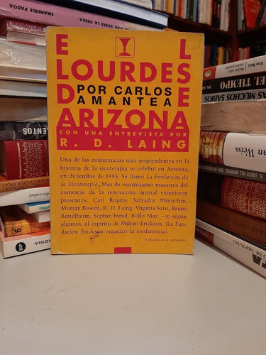 El Lourdes De Arizona, Carlos Amantea, Wl.