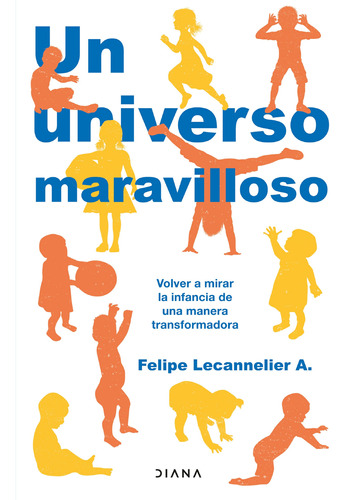 Libro Un Universo Maravilloso - Felipe Lecanelier