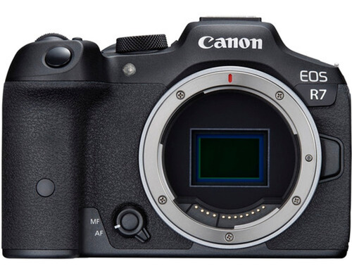 Camara Canon Eos R7 (us) Body Mirrorless