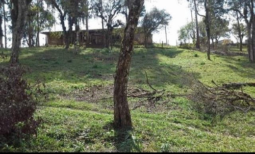 Imagem 14 de 15 de Chácara Para Venda Em Quitandinha, Zona Rural - Qui3300_1-2030544