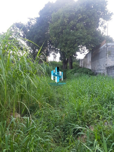 Imagem 4 de 6 de Terreno A Venda Em São Paulo São Miguel Paulista - Te00540 - 70735800