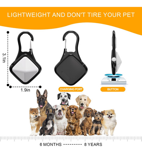 Nofukcn Luz Para Collar De Perro, 4 Modos, Luces Rgb Para Co