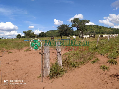 Imagem 10 de 14 de Fazenda Para Venda Em Barra Do Garças - Mt (cód. 192) Fazenda De Pecuária Em Toricueije Para Uso Em Pecuária.