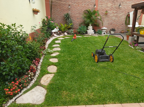 Mantenimiento De Jardines , Diseños . Poda Árboles .