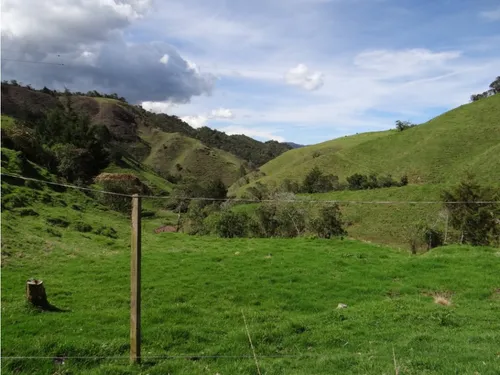 Finca En Venta La Unión Via Abejorral Antioquia. 83 Hectareas