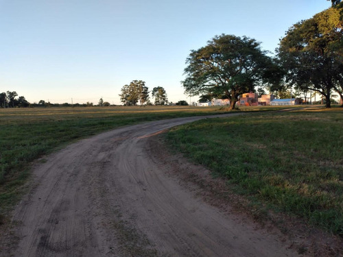 Imagen 7 de 25 de Terreno En Venta, 600 M2, Esquina Corrientes, A 100m Del Rio