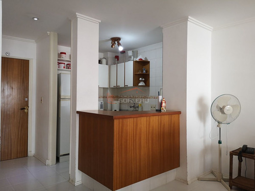 Imagen 19 de 30 de Apartamento En Alquiler, Punta Del Este, Próximo A Playa Brava Y Mansa, Buenos Servicios, Próximo Enjoy, Conrad