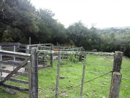 Campo En Venta En Uruguay, Lavalleja A Pocos Km De Minas- Ref: 22035