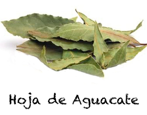 Hojas De Aguacate Planta Medicinal 5 Kilos