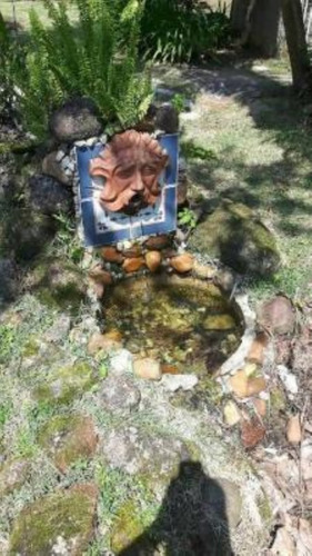 Imagem 20 de 24 de Chácara Com Piscina, Nascente, Cachoeira, Forno À Lenha E Fogão À Lenha, Em Itariri, No Bairro Três Barras Ref: 7827/ac