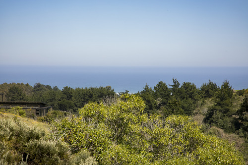 Reserva Natural En Punta De Lobos