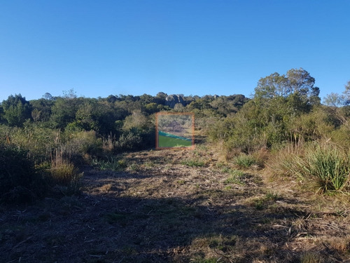 Imagen 9 de 14 de Chacra 10 Hás En Garzón