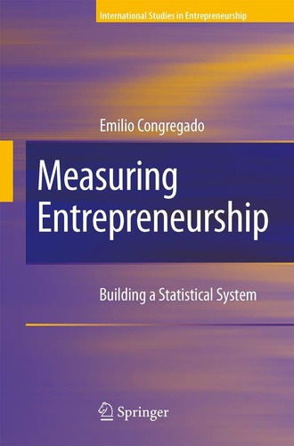 Libro: Midiendo El Espíritu Empresarial: Construcción De Un