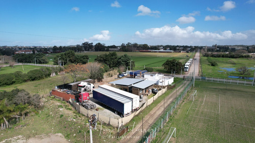 Terreno En Alquiler De 1600m2 Ubicado En Servando Gómez. Carrasco