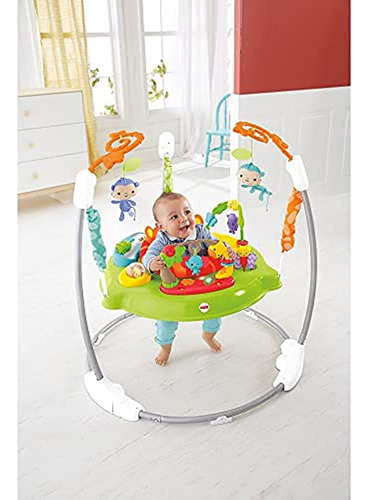 Precio Del Pescador Jumperoo: Selva Tropical Roarin