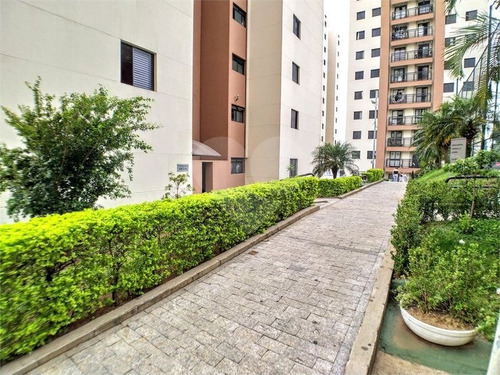 Apartamento Com 3 Dormitórios, 1 Wc, 1 Vaga E Lazer Com Piscina, Salão De Festas Quadra De Futebol - 170-im458880