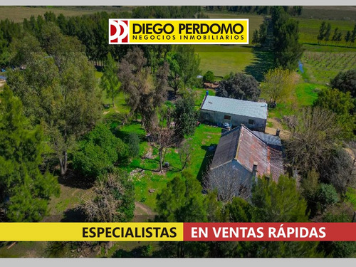 Chacra De 3,5 Ha En Venta, Colonia Wilson