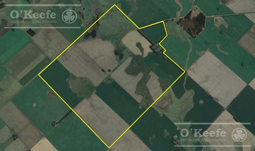 Imagen 22 de 25 de Campo De 705 Has En Venta En Necochea - Mixto Con Casco - 70 % Agricola.