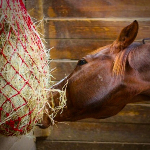 Bolsa Red Alimento Caballos - Heno - Alfalfa - Tienda Web!