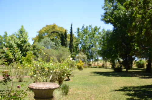 Imagen 7 de 14 de Venta Chacra 7 Hectareas A 40 Km De Mercedes