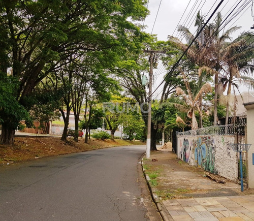 Imagem 1 de 5 de Terreno À Venda Em Jardim Paraíso - Te010225