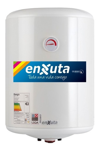 Calefon Termotanque De Acero Enxuta 60 L Cilindrico Tenx2160