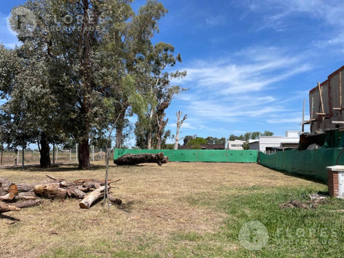 Flores Prop. Vende Terreno En Barrio San Ramón En Pilar Del Este  