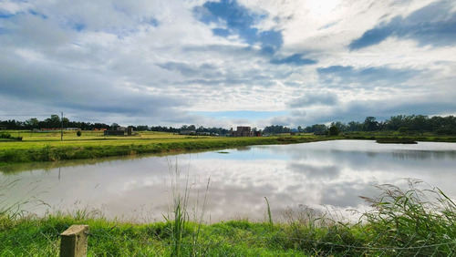 Venta Lote Al Lago 640 M2 Barrio Zarate Golf Park