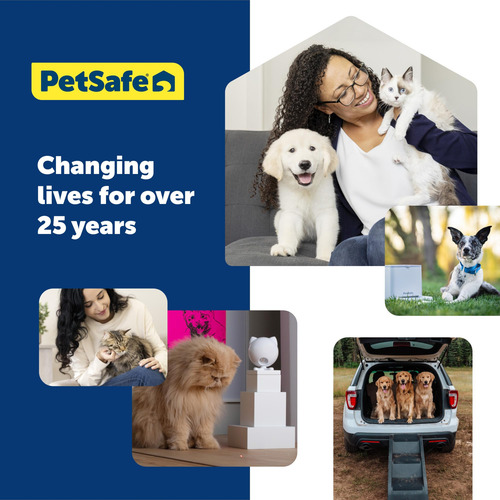 Collar Martingale Petsafe Azul Real De 3/4 Pulgadas Para Per