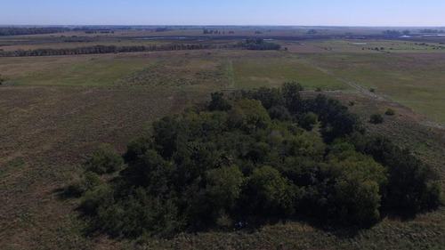 Imagen 4 de 16 de 360 Has Campo Mixto En Venta, Magdalena. Ex Tambo 80 % Agrícola.