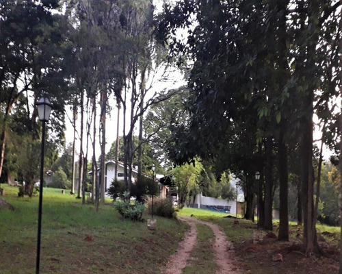 Imagem 2 de 6 de Terreno - Te00026 - 70794643