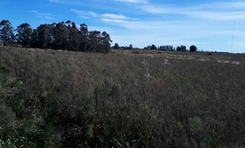 Campo En Venta De 7404m2 Ubicado En Pérez Castellanos