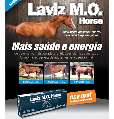 Kit 04 Laviz Mo Horse Suplemento P/ Equinos 2x40g Lavizoo