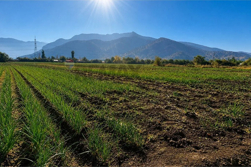 Terreno Agrícola 55.000 M² En Lampa Con Casa