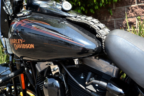 Imagen 14 de 15 de La Moto De Tus Sueños Harley Davidson Cross Bones 6 Vel 1584