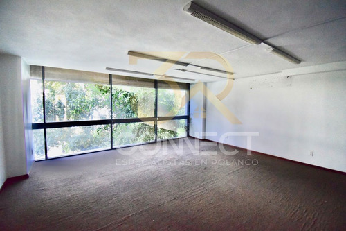Oficina En Renta En Polanco 6c/1e - Excelente Ubicación - 90m2