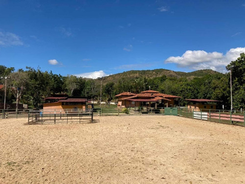 Imagen 17 de 20 de Pieranyela Rodríguez. Finca En Tinaquillo C 1747