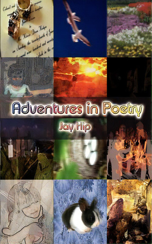 Adventures In Poetry, De Hip, Jay., Vol. 1. Editorial Authorhouse, Tapa Blanda En Inglés