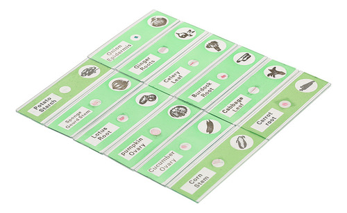 Conjunto 48 Diapositivas Plásticas Para Microscopio De Muest