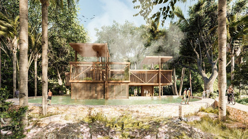 Terrenos En Venta 101 Cenotes En La Majestuosa Selva De Tulum.