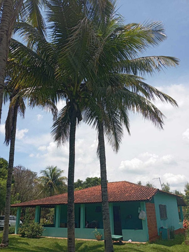 Sitio - Pereiras/sp - 12.000 Mil Metros - R$ 400.000,00