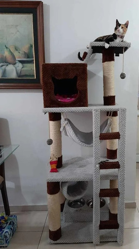 Gimnasios Rascadores  Para Gatos Con Platos Para La Comida