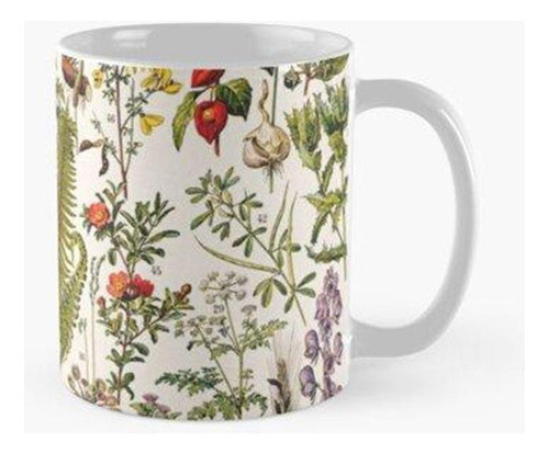 Taza Adolphe Millot - Plantes Medicinales B - Cartel Vintage