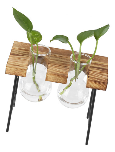 Maceta De Vidrio Para Escritorio Con Soporte De Madera