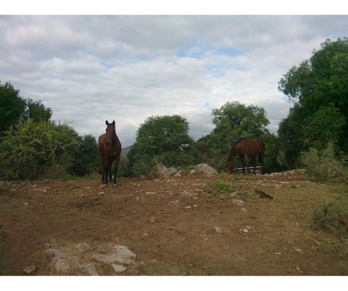 Imagen 5 de 18 de Amplisimo Lote En Prado De La Rivera . Agua De Oro,cordoba!