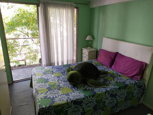 Imagen 13 de 18 de Local + Vivienda, Ph 3 Amb + Terraza , Sin Expens.