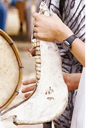 Imagen 2 de 6 de Quijada De Burro Instrumento Percusion Musica Afro
